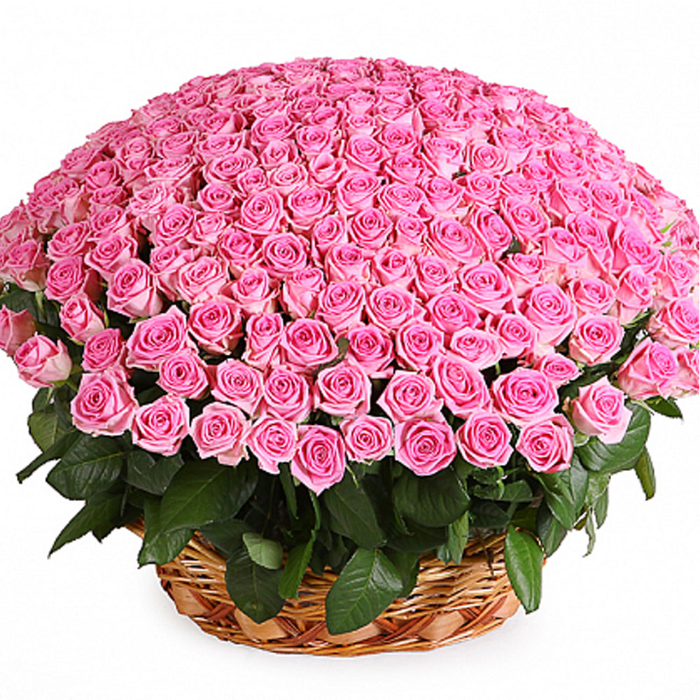 basket pink rose 251